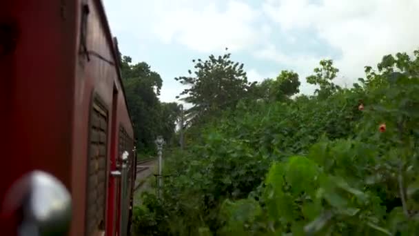 Tågresor i Asien. Utsikt över skogen längs järnvägen — Stockvideo