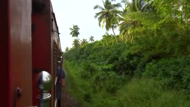 Podróż pociągiem po Azji. Widok na lasy wzdłuż linii kolejowej. Człowiek nagrywa wideo przez telefon komórkowy.. — Wideo stockowe