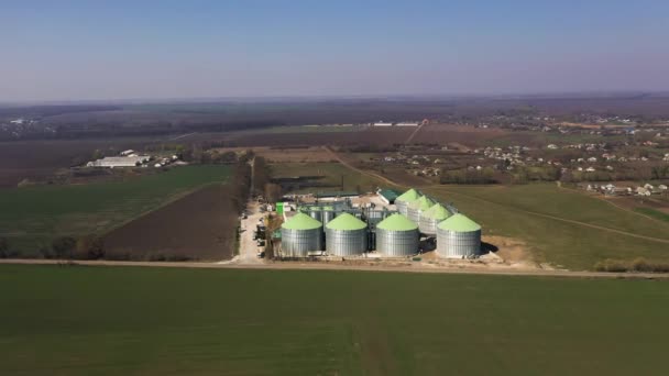 Veduta aerea dei silos d'argento dell'impianto di produzione agro-alimentare per la lavorazione dell'essiccazione pulizia e magazzinaggio di prodotti agricoli, farine, cereali e cereali — Video Stock