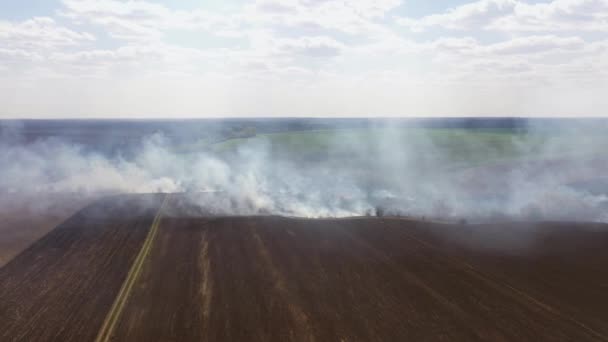 Il grande incendio estensivo nel campo. — Video Stock