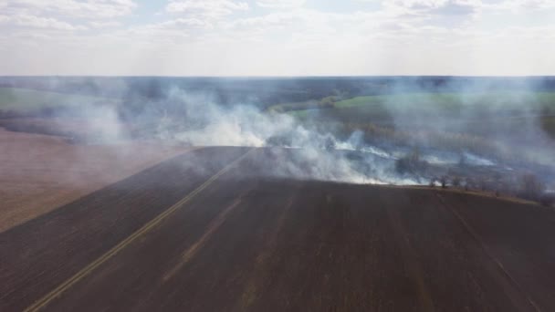 On the Field Burning Dry Grass. Des images. Brûlage de paille sur le terrain. Feu, Brûler l'herbe ancienne 