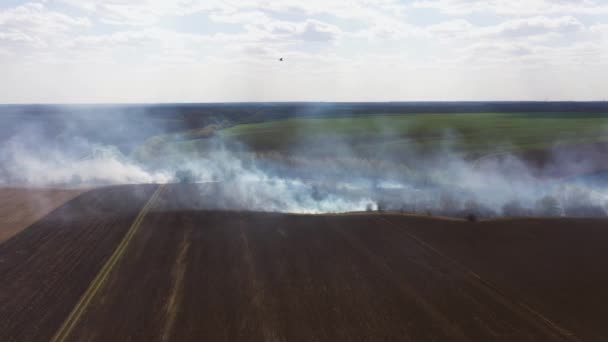 El gran incendio extenso en el campo — Vídeo de stock