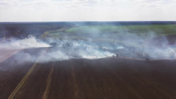 Облака дыма над горящим полем — стоковое видео