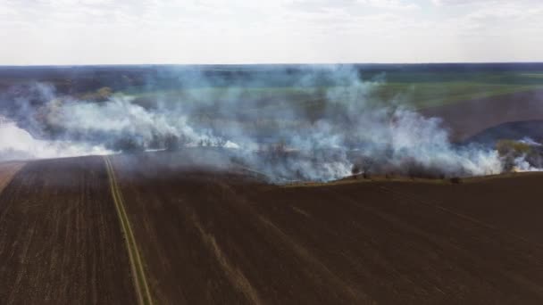Ligne de feu de chaume brûlante sur le terrain 