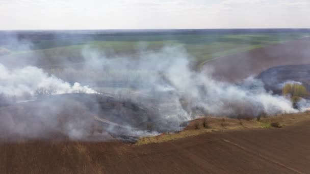 Feu rapide sur champ de gazon sec 