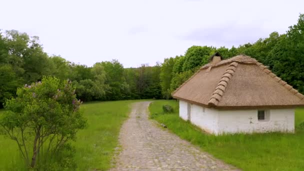 Spaziergang im Park entlang des Weges am alten traditionellen ukrainischen Haus vorbei — Stockvideo