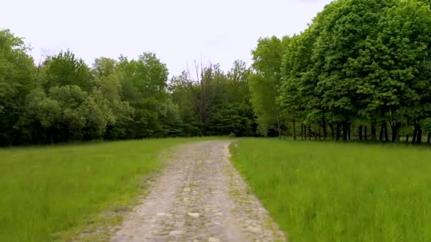 Μια βόλτα στο πάρκο με θέα πρώτου προσώπου. — Αρχείο Βίντεο