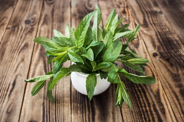 Small white vase with fresh mint — Stock Photo, Image