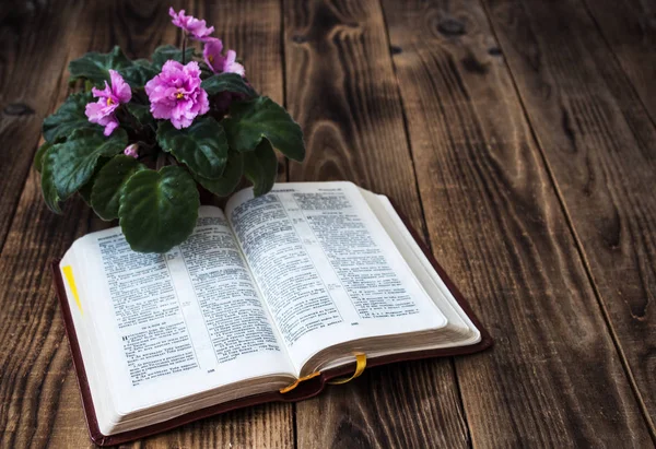 Violetas y Biblia sobre fondo de madera — Foto de Stock