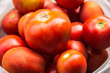 Olgun domates taze sökük