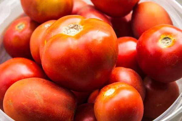 Olgun domates taze sökük