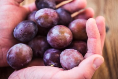 Ellerini bir adamın Erik ile