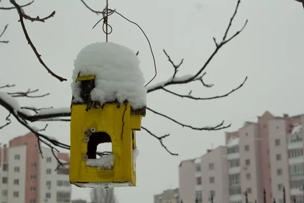 Birdhouse zimą — Zdjęcie stockowe