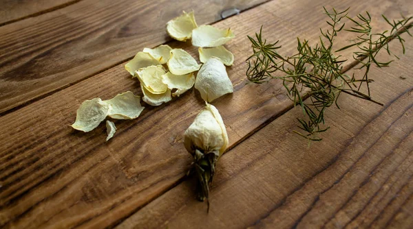 Rosa blanca y pétalos sobre fondo de madera — Foto de Stock