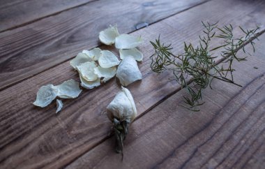 beyaz gül ve yaprakları ahşap arka plan üzerinde Solana