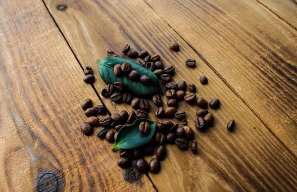 Granos de café y hoja verde —  Fotos de Stock