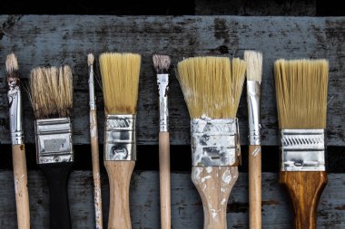 Boya fırçaları