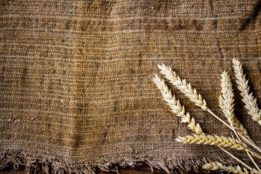 spikelets buğday çul arka plan üzerinde