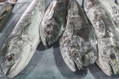 Turistik cazibe yerel pazarda Jimbaran, Bali taze deniz ürünleri balık satış