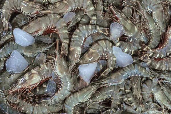Bouquet de crevettes fraîches sur le marché aux poissons local à Jimbaran — Photo