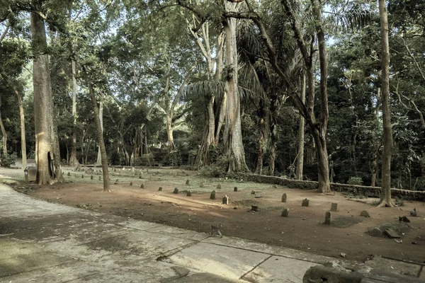 Ubud, Indonésie - 10 février 2013 : Cimetière du Sanctuaire de la Forêt Sacrée de Singes à Ubud, Bali, Indonésie — Photo