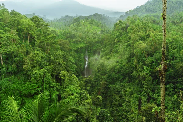 Sekumpul waterval in de jungle met helder water vallen op stenen kliffen en groene bomen rondom, Bali, Indonesië — Stockfoto