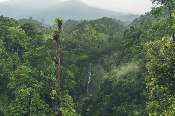 Sekumpul Cascade dans la jungle avec de l'eau claire tombant sur des falaises de pierre et des arbres verts tout autour, Bali, Indonésie — Photo