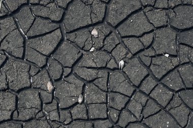 Çatlak toprak kuru toprak dokusu arka plan, susuz bitkiler büyümez..