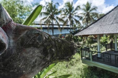 Moss ile eski bir heykel Başkanı