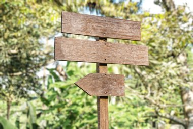 Doğa arka plan üzerinde eski ahşap tabela isoliated