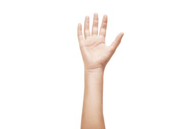 Beyaz arka planda izole edilmiş güzel bir kadının eli.