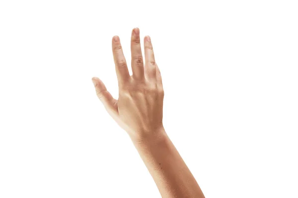 Închiderea mâinii unei femei frumoase izolată pe fundal alb — Fotografie, imagine de stoc