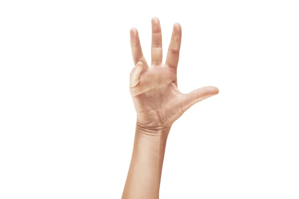 Крупним планом красива рука жінки ізольована на білому тлі — стокове фото