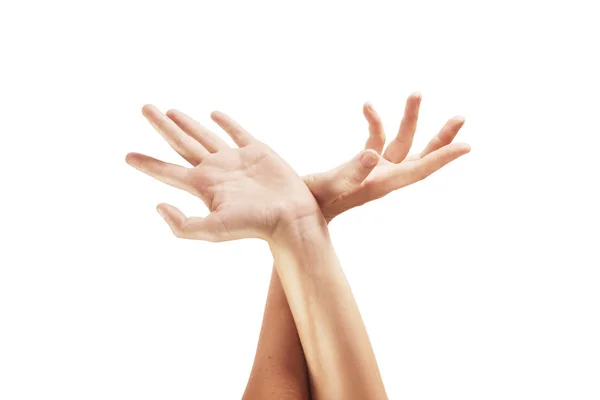 Nahaufnahme der schönen Frauenhand isoliert auf weißem Hintergrund — Stockfoto