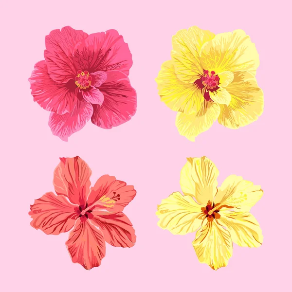Jamaica flores vector conjunto . — Vector de stock
