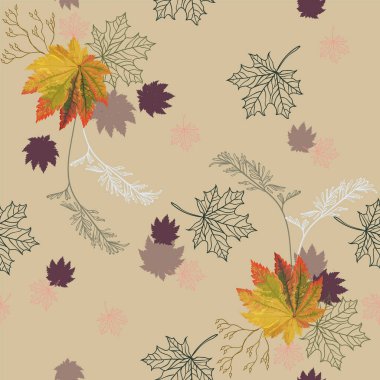 Renkli sonbahar yaprakları