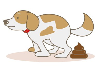 Köpek tuvaletini yok