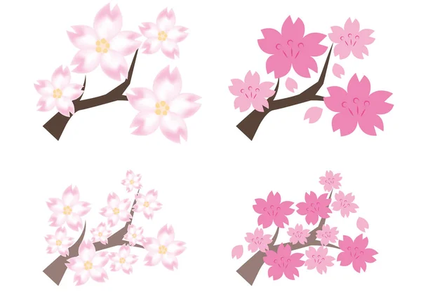 Cherry-blossom four variation — Stock Vector