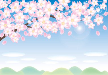 Cherry blossom ve mavi gökyüzü güneş ışığı ile 
