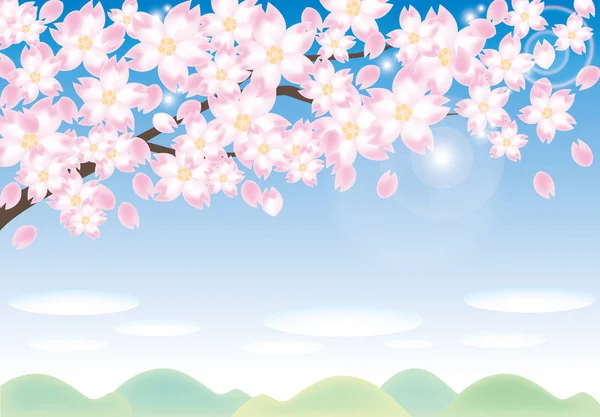 Cherry-blossom and blue sky with Sun light — Stock Vector