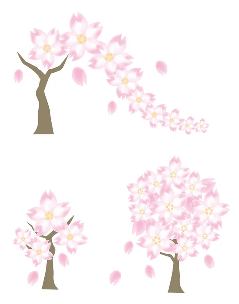 Цветок вишни три вариации — стоковый вектор