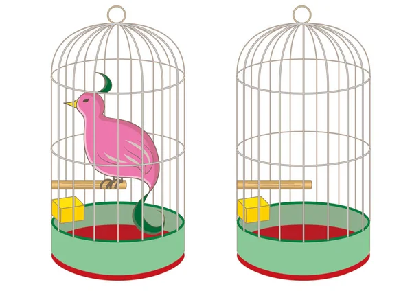 Vogelkooi en zeldzame vogel — Stockvector