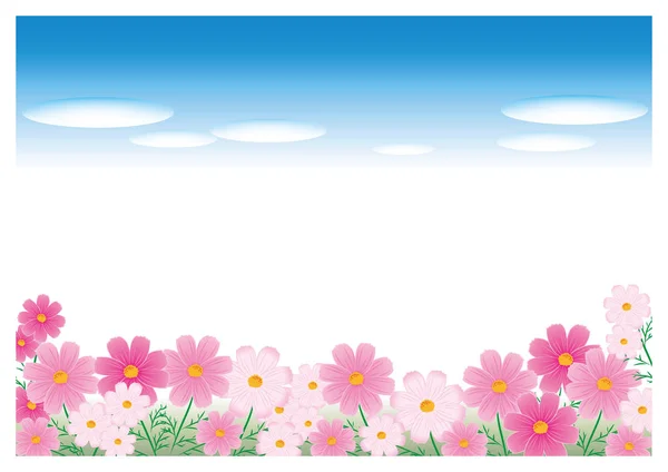 コスモスの花の庭 — ストックベクタ