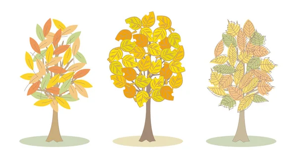 Arbres colorés mis en automne — Image vectorielle