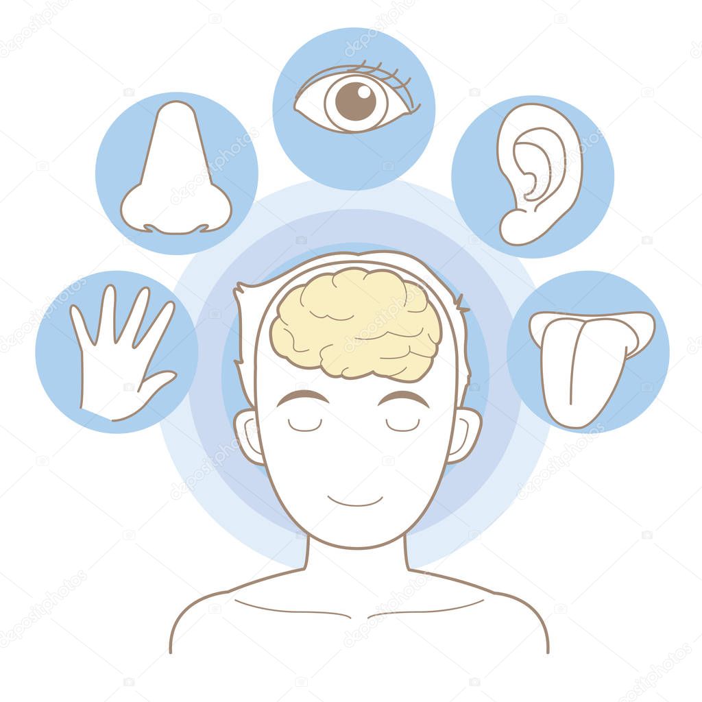 Five senses image for medical and educational