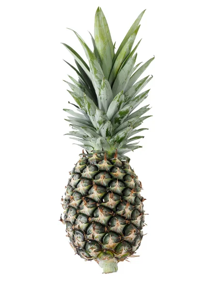 Ananász, fehér háttér — Stock Fotó