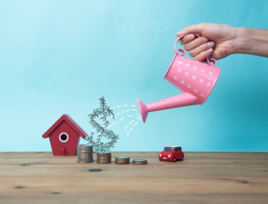 En iyi yatırım ağaç dikme gibi görülmektedir. Sulama olabilir kavramı