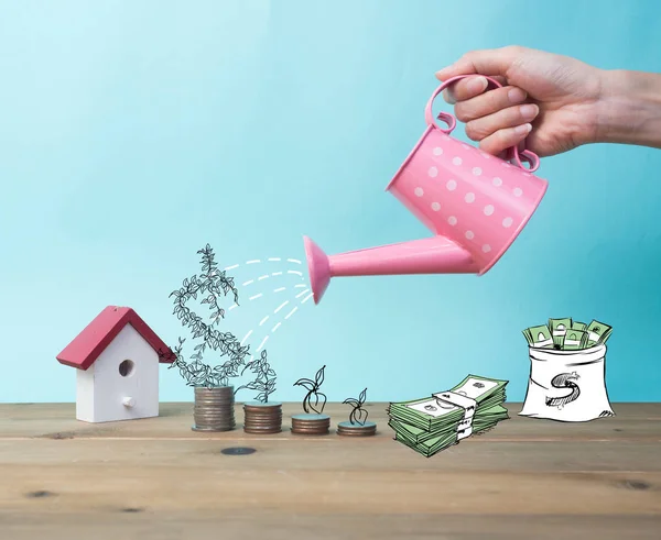 En iyi yatırım ağaç dikme gibi görülmektedir. Sulama olabilir kavramı