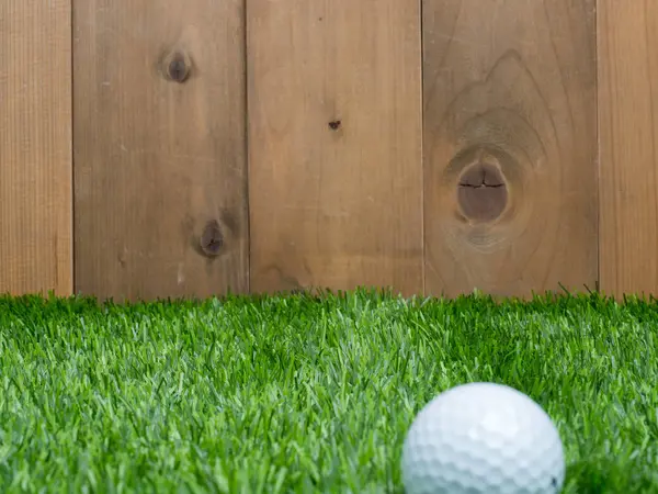 Golf a míč na zelené trávy a dřeva pozadí — Stock fotografie