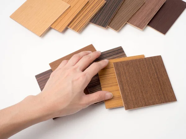 Samples of veneer wood on white background. interior design sele — Stock Photo, Image